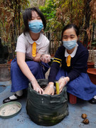 photo-littlefarmer2122-024