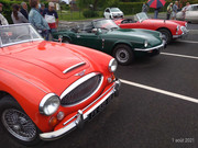 P-20210801-103703-p.jpg