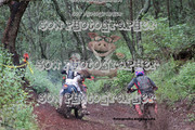 IMG-6583
