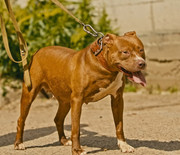 Screenshot_20230710_170254_Gallery