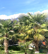 IMG-4606