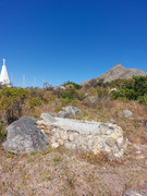 IMG-20250122-WA0219