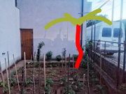 PhotoCollage_20200526_204253121