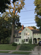 IMG-2372