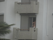 DSC00394