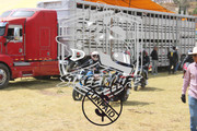 IMG-2490
