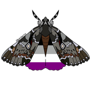 moths1-3