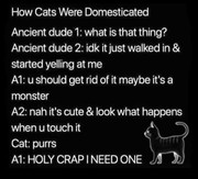 https://i.postimg.cc/vgG6xmzK/272738462-2470968326368728-7184086560082754388-n.jpg