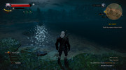 witcher3-2023-01-11-08-21-14-830.jpg