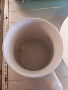 [Image: 20220406-172703.jpg]