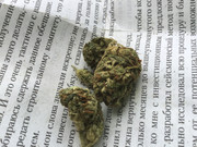 63147BD9-AF0B-444B-8E08-3BC150221EBA