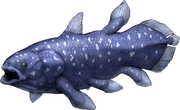 coelacanth
