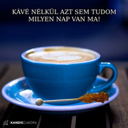 https://i.postimg.cc/vgTM0zYL/330847232-1224447351842852-8514815628471709410-n.jpg