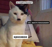 5c25ec8989997ae4763c2a411489d37f.jpg