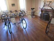 IMG-7745.jpg