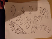 IMG-20240201-185637344