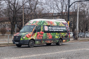 IMG-5447