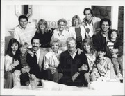 the bradys tv series in 1990