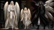Orion-is-a-tall-male-with-White-robes-with-Gold-and-silver-trimming-He-has-Loose-white-paints-with