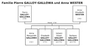 Galloy-Wester.jpg