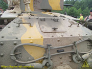 IMG-6528