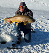 [Image: Record-Tiger-Trout-from-Scofield-2023.jpg]