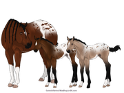 405CCEFB-AA5A-4044-8086-27AFE656D065