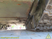 IMG-5592