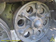 IMG-5619
