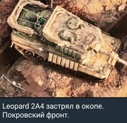 https://i.postimg.cc/vgtqGmPy/photo-2026-09-23-04-14-17.jpg
