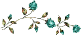 bloemen72