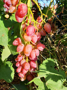 20190905-075330