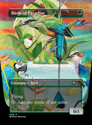 0018 Birds of Paradise