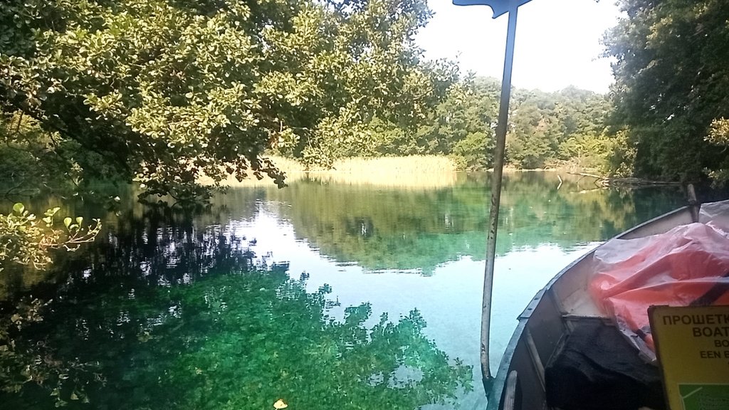 Slika