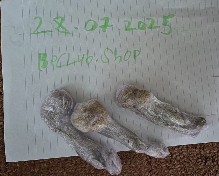 C1173372-CF47-471C-909E-2CA0CF6AD13B