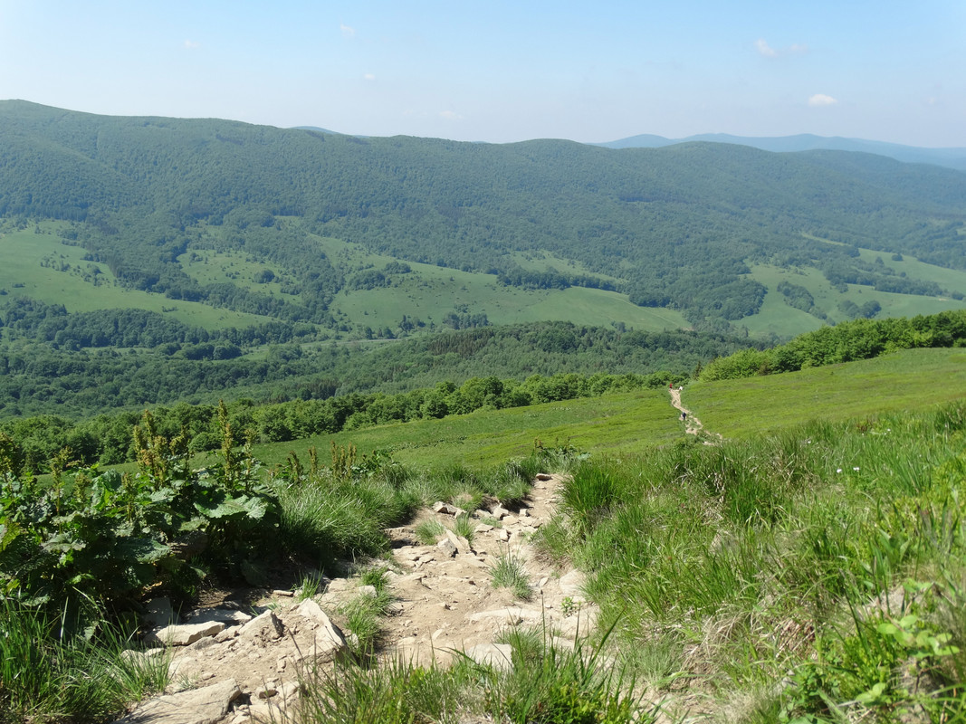 042 - DSC00969 (Mirmił)