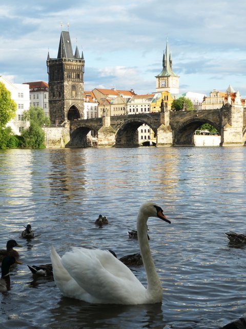 PRAGA – Al otro lado del Moldava - Praga y Český Krumlov (15)