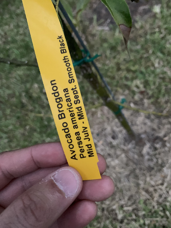 9F065A9F-CA33-4B4D-8EAD-756361B17C5A