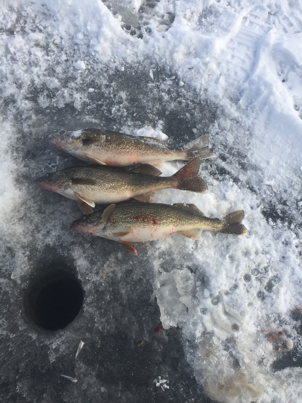 B3963966-FFAF-4801-8E8E-51B88B1A15E5