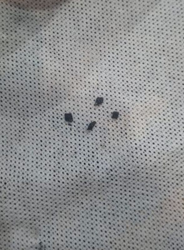 Screenshot 20260330 174157 Chrome