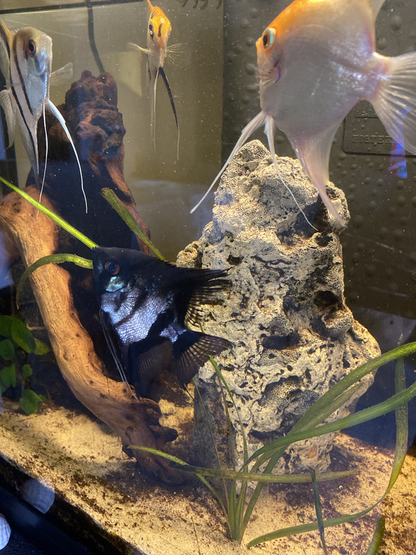 7BBC2C8D-3610-4AB3-A622-03365803ED50