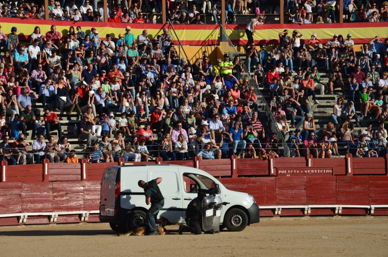 Exhibición Guardia Civil-30-9-2016 - Toledo y sus pueblos-1996/2026 (34)