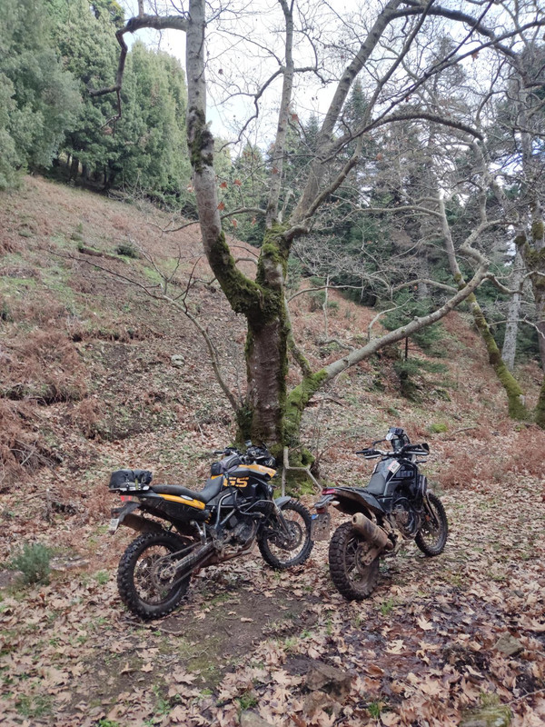viber image 2026 01 12 23 16 08 433