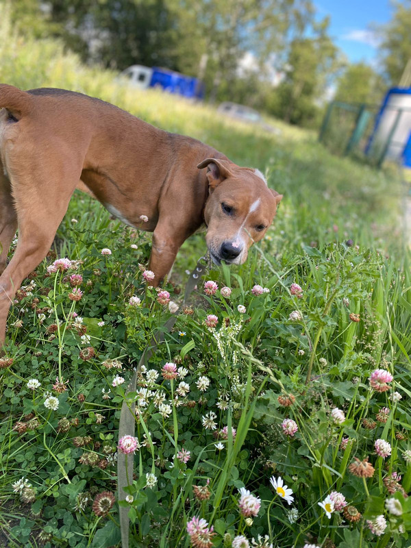 5E60A1CA-852A-44E9-83FF-F9F36289F40D