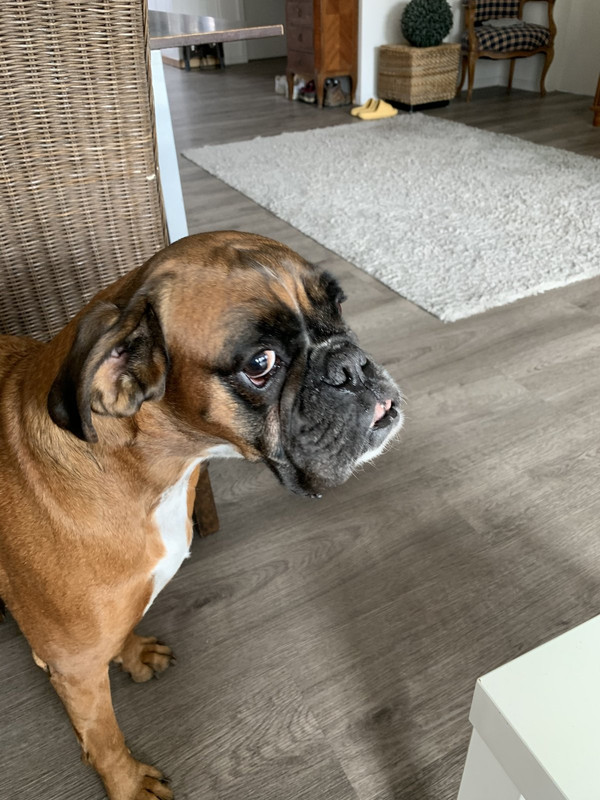 E2446EE8-2C11-4006-A2C4-2F46653A22F1