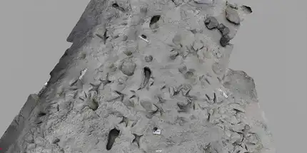 Modelo 3D de superfície fossilizada
