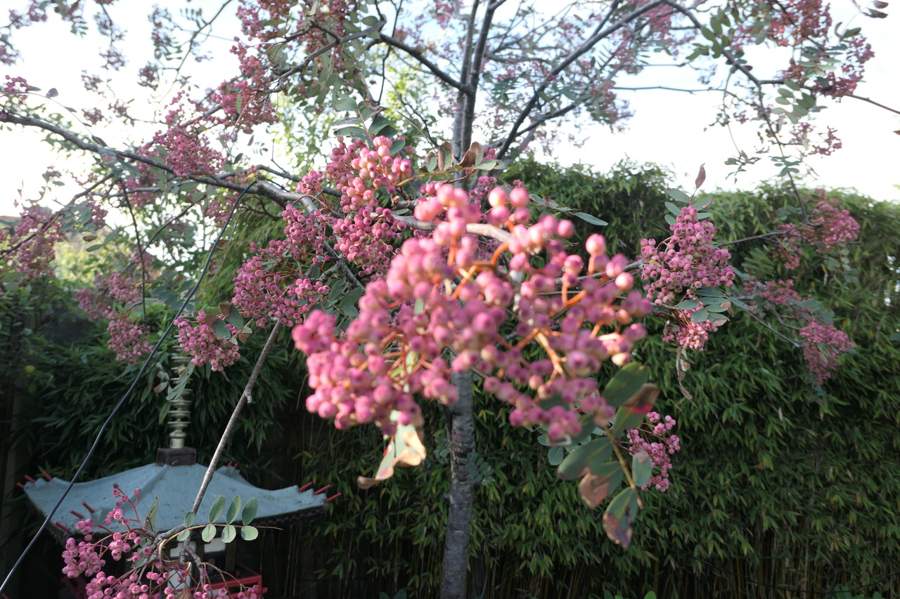 P1050124