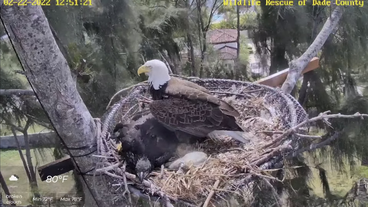 253B1E5B-CF7E-408B-B1AB-83D15CA763BA