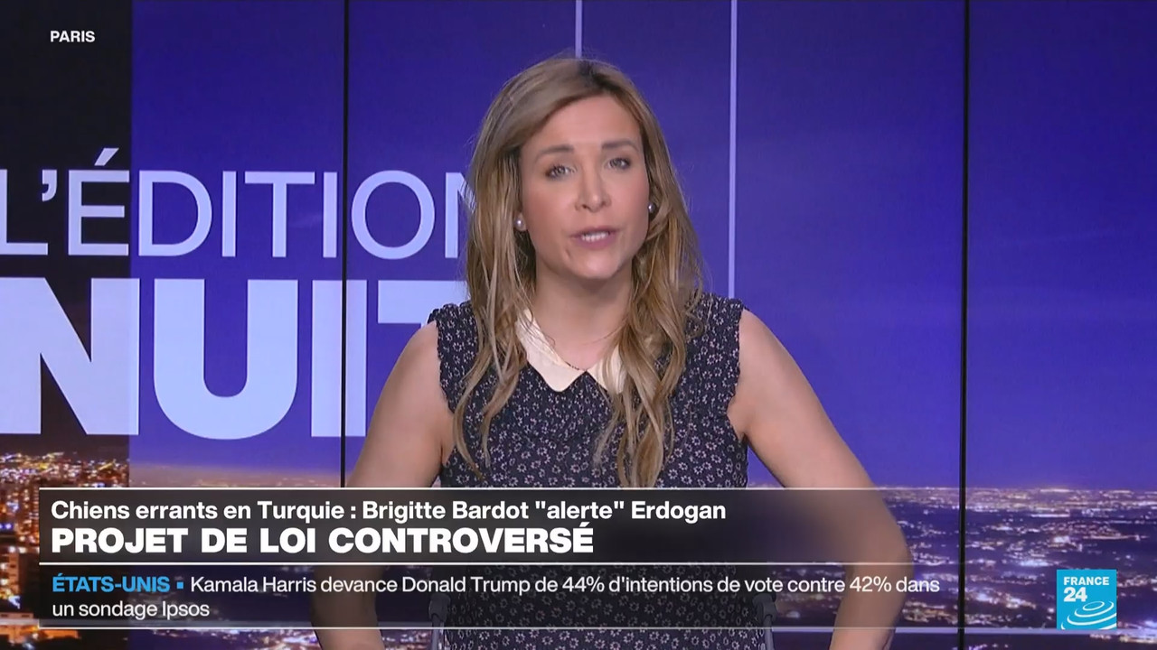 Le journal France 24 (FR) (France 24)_2024_07_24_03_55_91.ts_snapshot_17.04.647