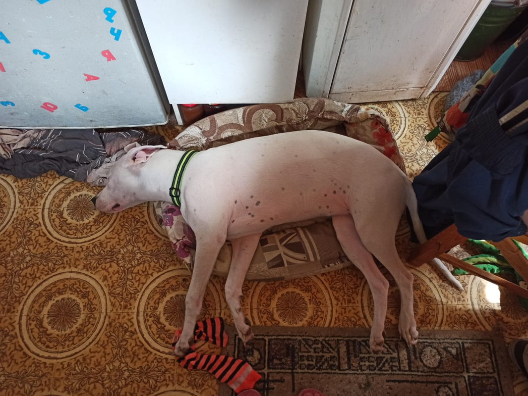 2F4F034B-7DB9-40E1-B2B2-E0A8D4A4A19A